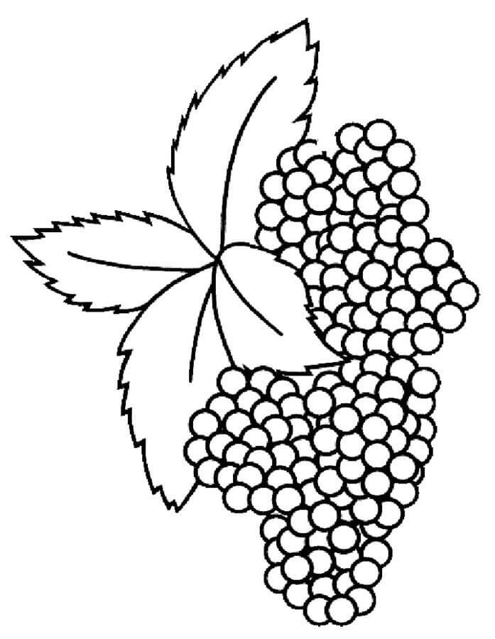 dibujo bueno mora para colorear