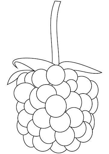 dibujo grandes tres moras para colorear