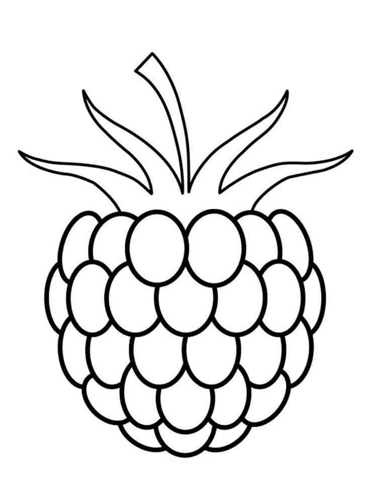 dibujo mora imprimible para colorear