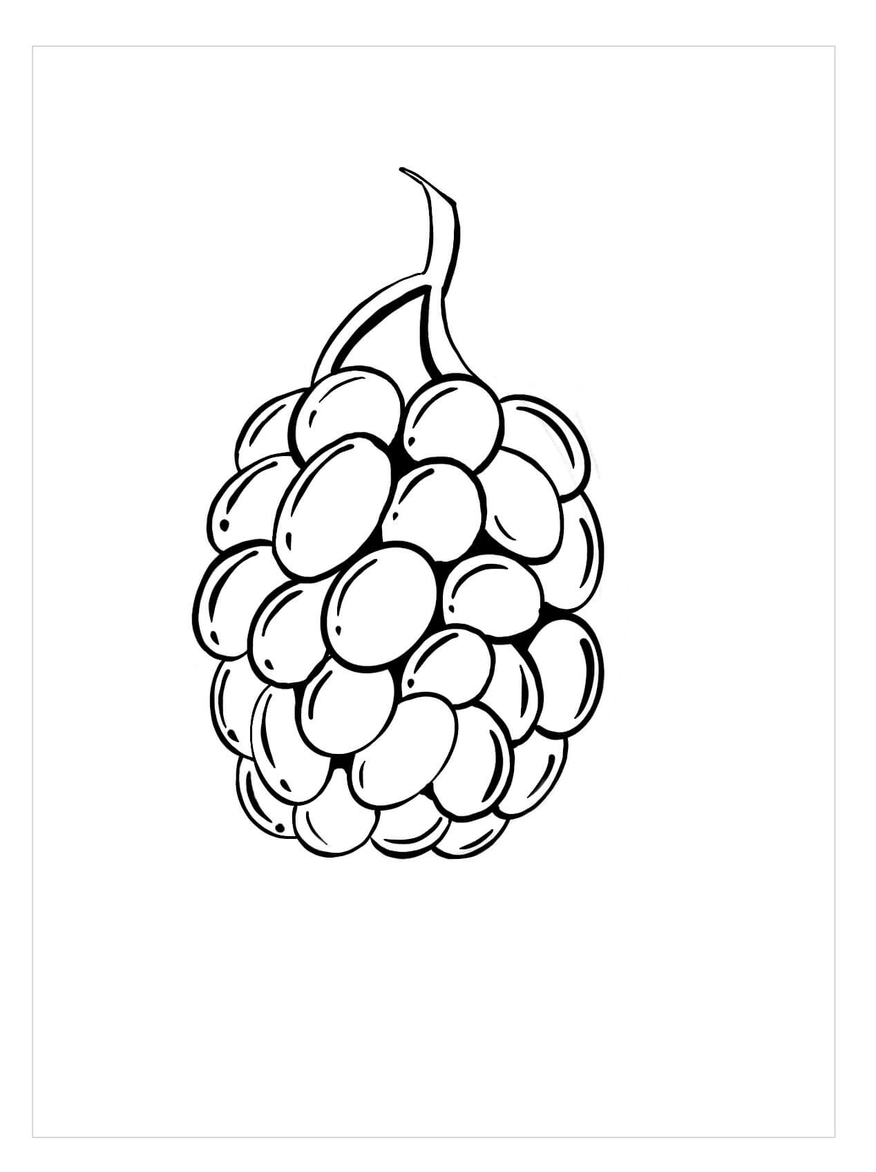 dibujo mora perfecto para colorear