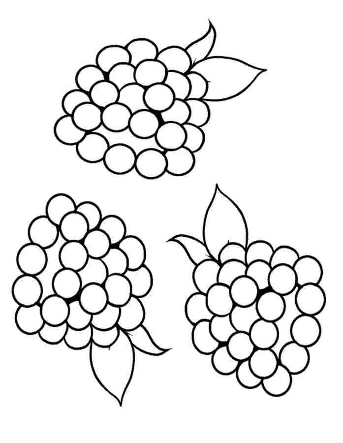 dibujo normal tres moras para colorear
