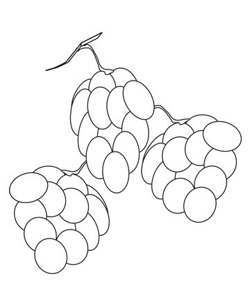 dibujo tres moras pintar para colorear