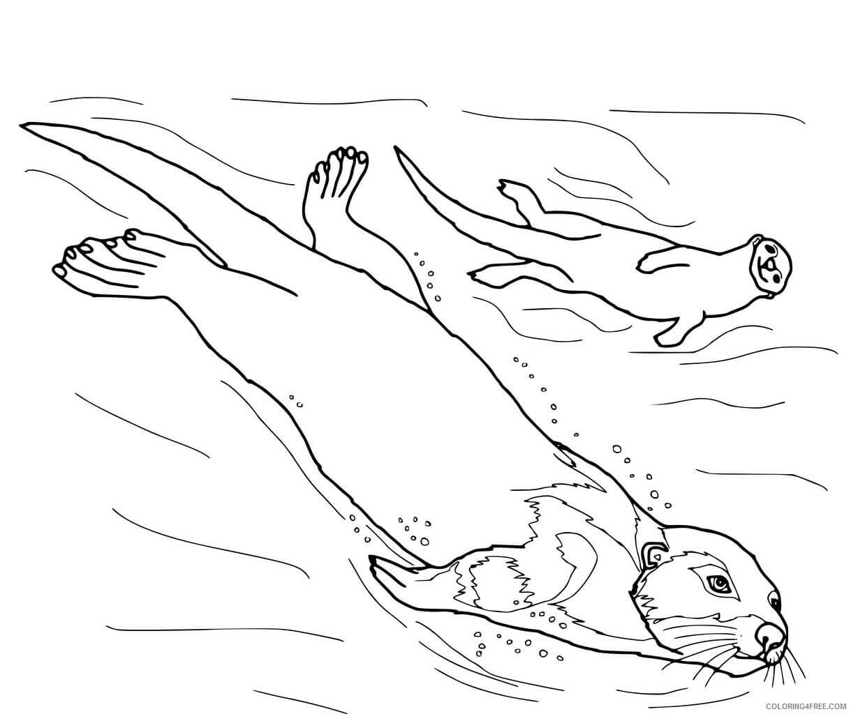 dibujo dos nutria linda natacion para imprimir y colorear