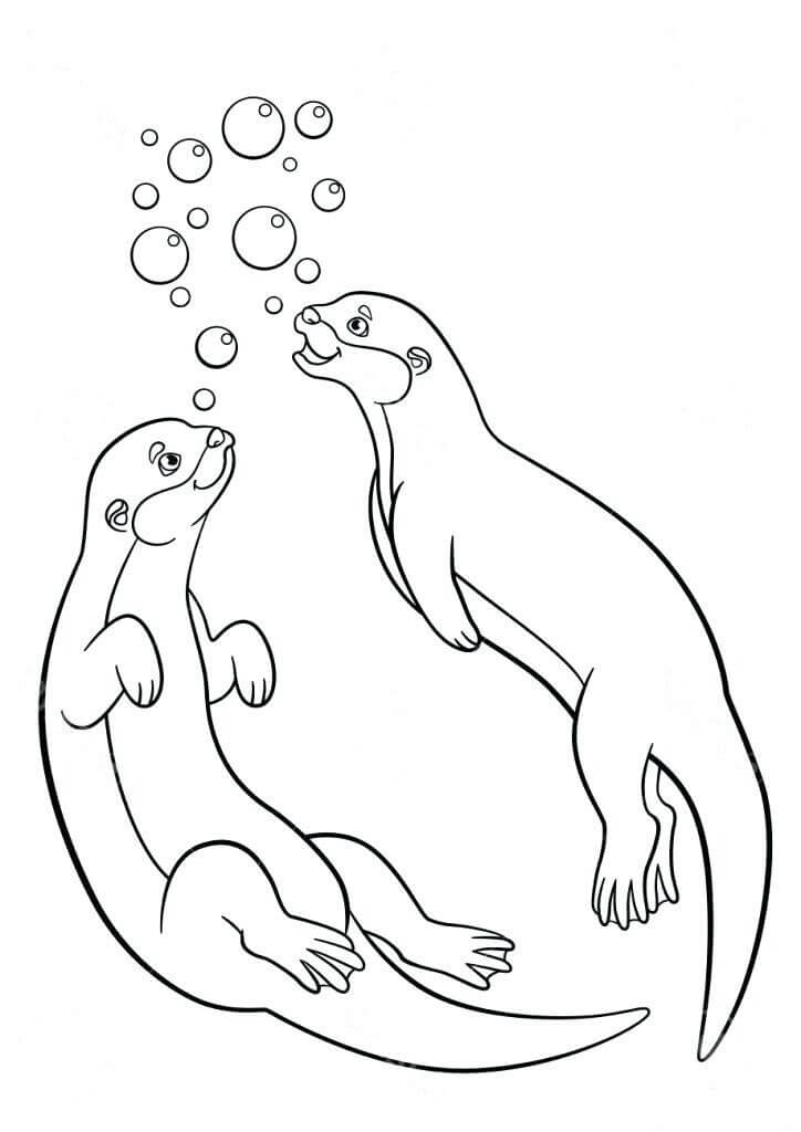 dibujo dos nutrias nadando para imprimir y colorear