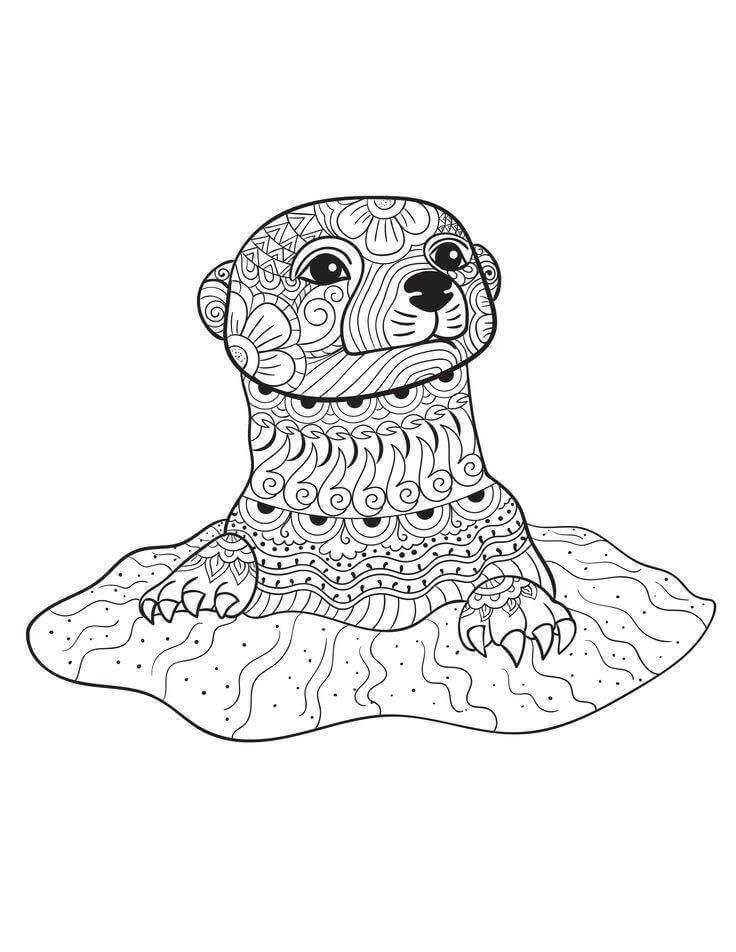 dibujo mandala de nutria de cara para imprimir y colorear