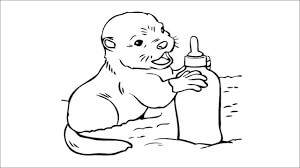 dibujo nutria basica para imprimir y colorear