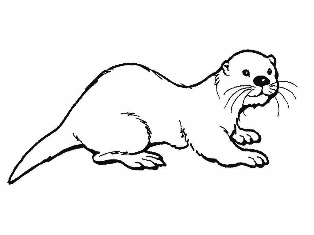 dibujo nutria bebe lindo para imprimir y colorear