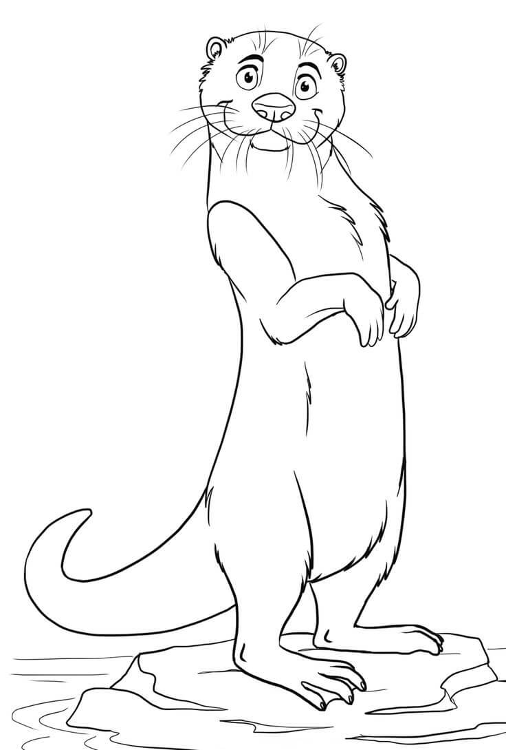 dibujo nutria de pie para imprimir y colorear