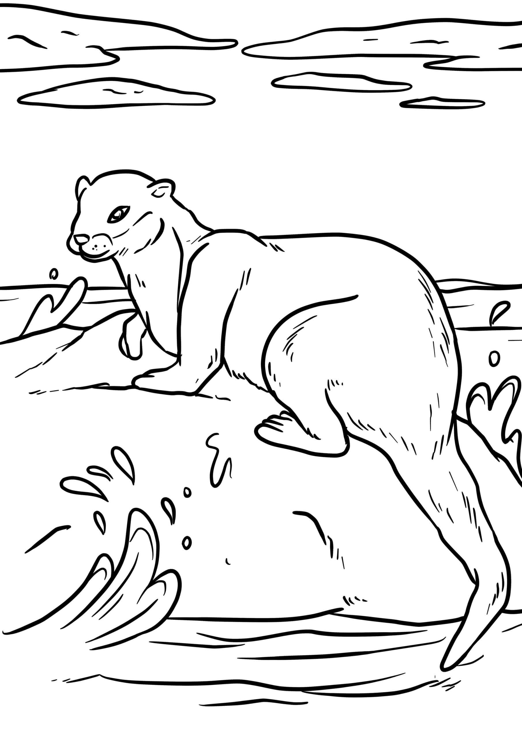 dibujo nutria impresionante para imprimir y colorear