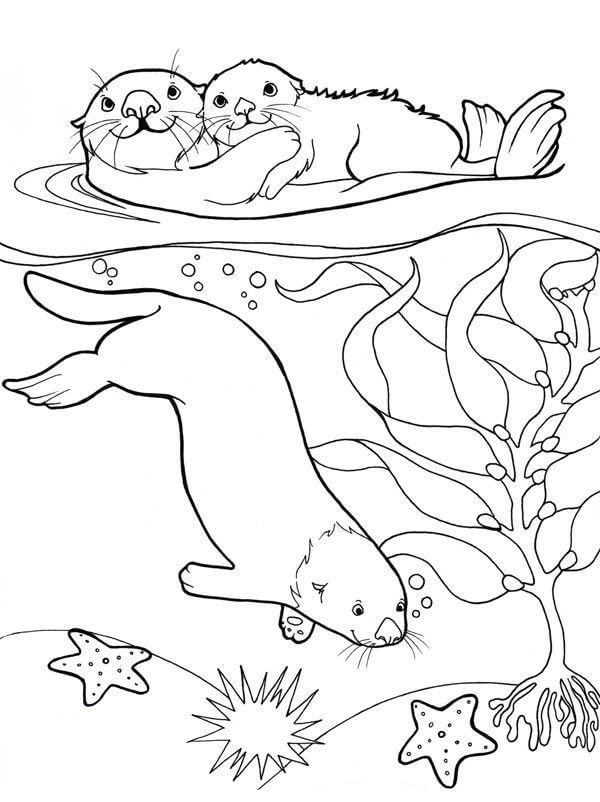 dibujo tres nutrias en el mar para imprimir y colorear