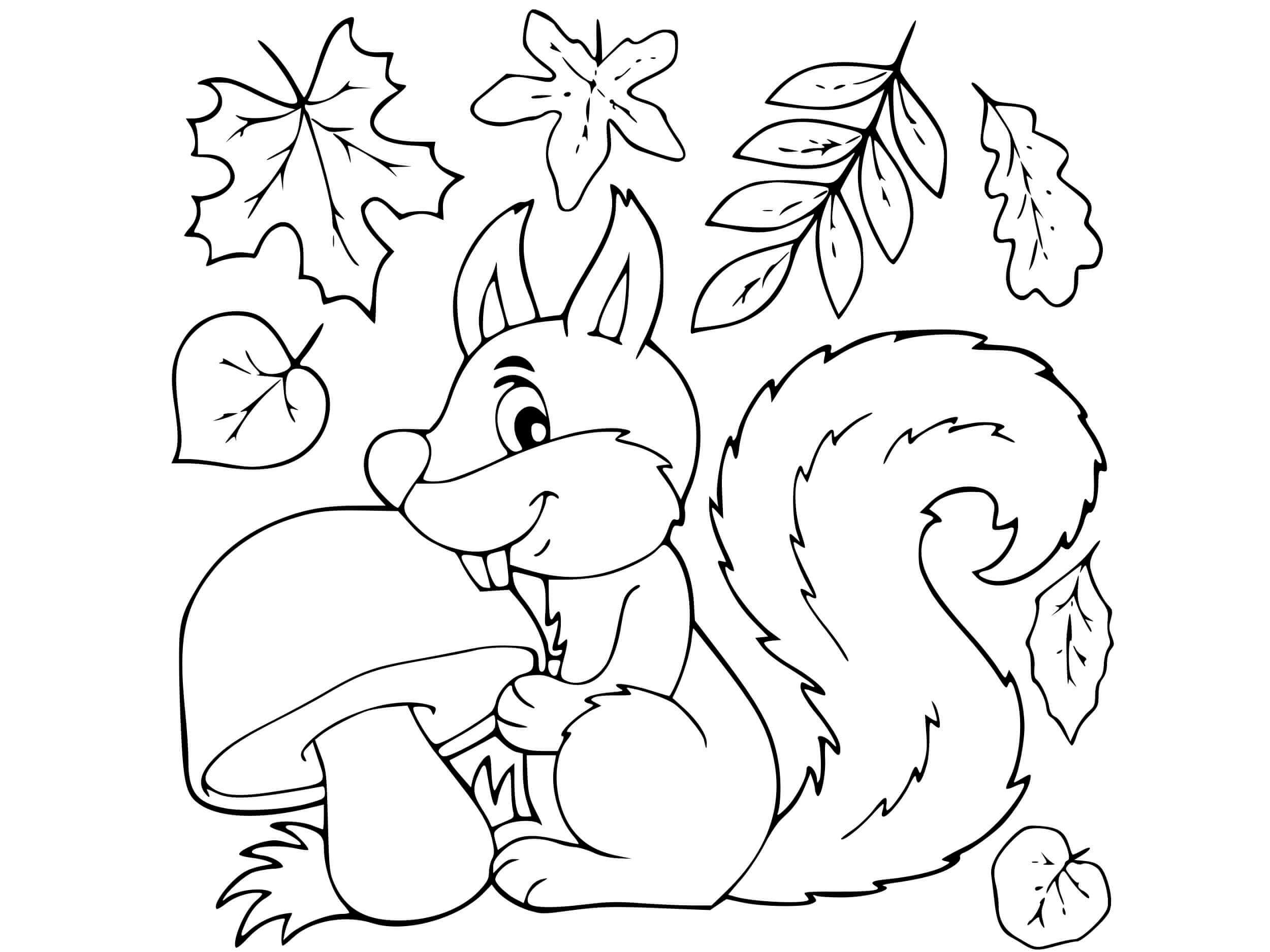 dibujos ardilla comiendo hongos con hojas en otono para colorear