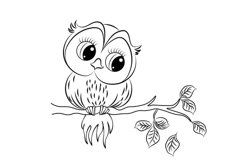 dibujos buho en otono para colorear