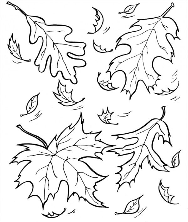 dibujos hojas en otono para colorear