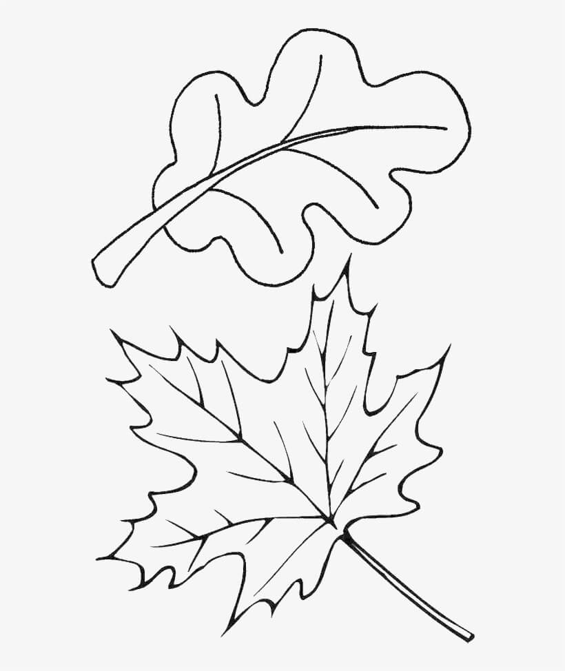 dibujos otono de dos hojas para colorear