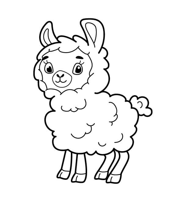 dibujo buenas ovejas para imprimir y colorear