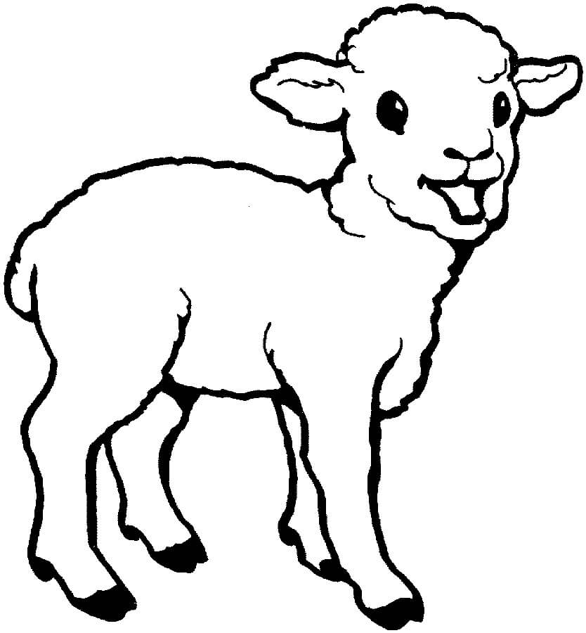 dibujo dibujo basico ovejas para imprimir y colorear