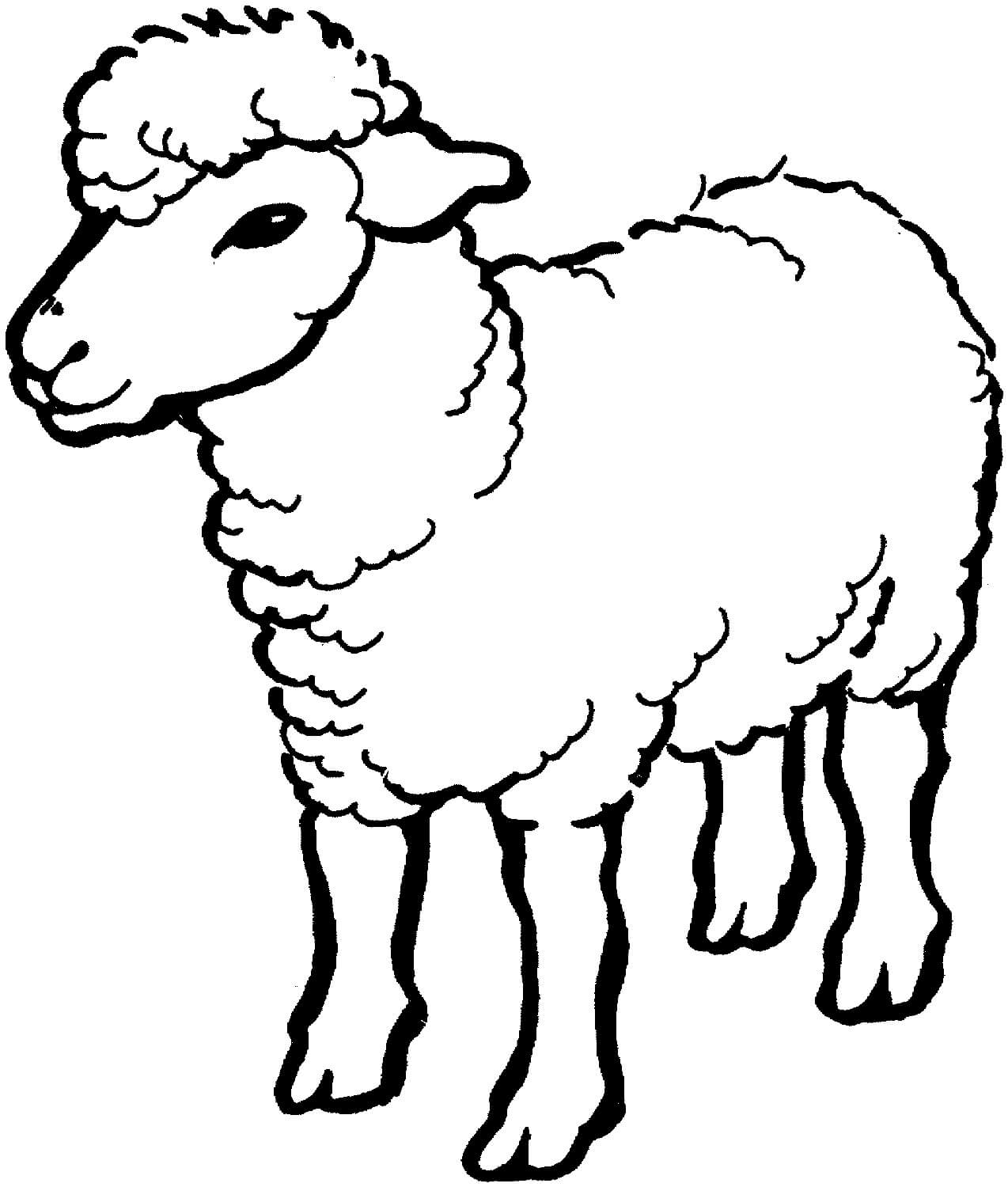 dibujo dibujo oveja para imprimir y colorear