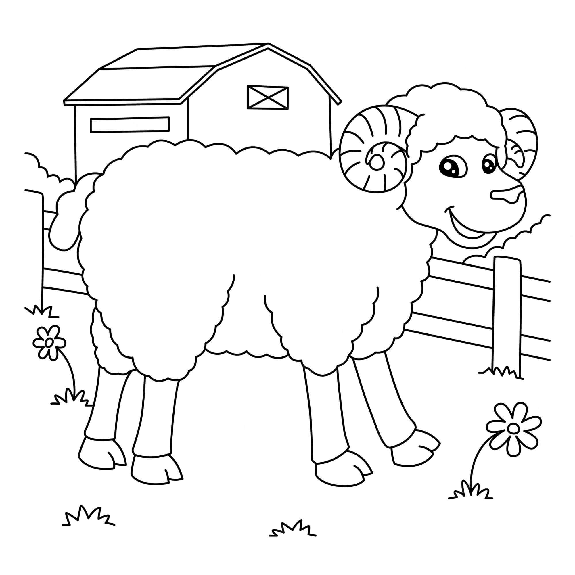 dibujo divertido oveja para imprimir y colorear