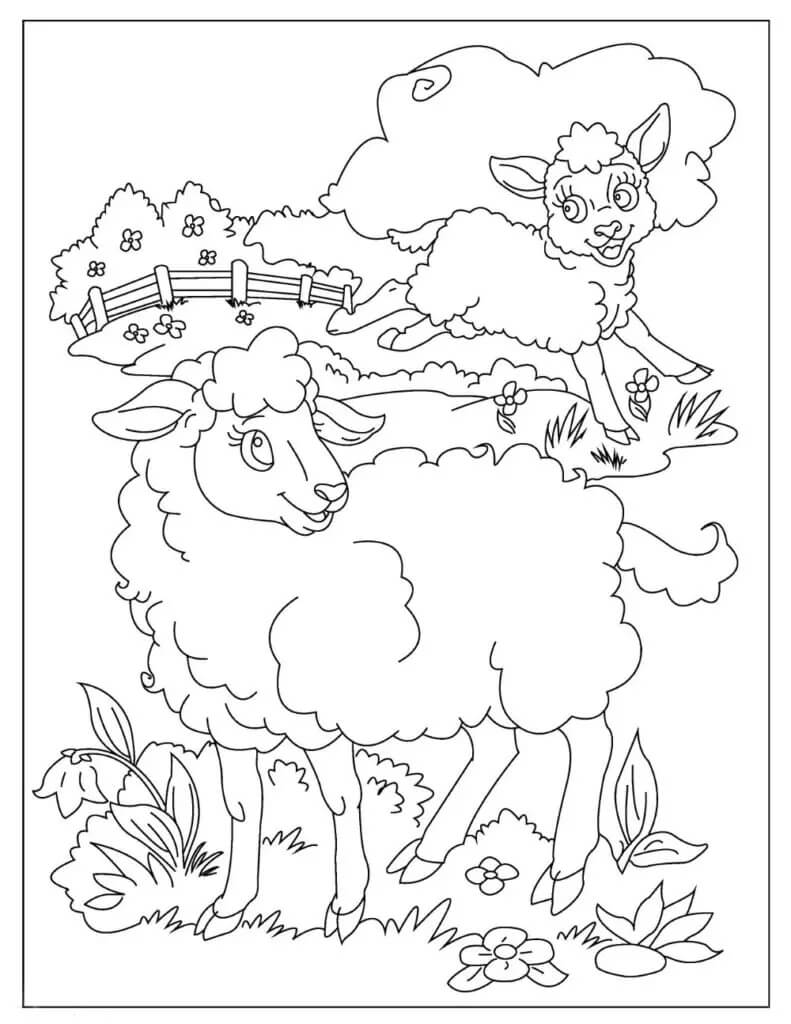 dibujo dos ovejas en granja para imprimir y colorear
