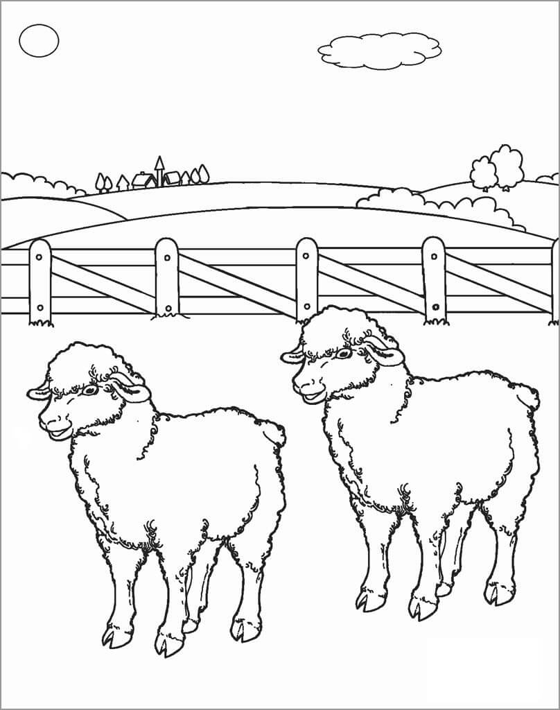 dibujo dos ovejas para imprimir y colorear