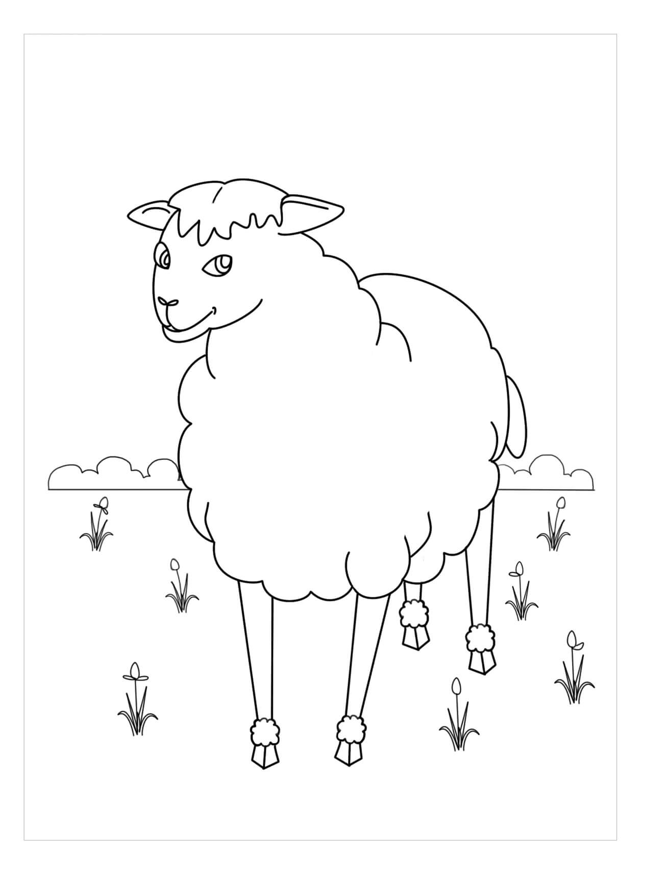 dibujo impresionante oveja para imprimir y colorear