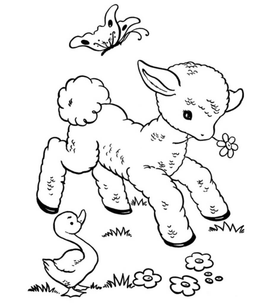 dibujo oveja con pato y mariposa para imprimir y colorear
