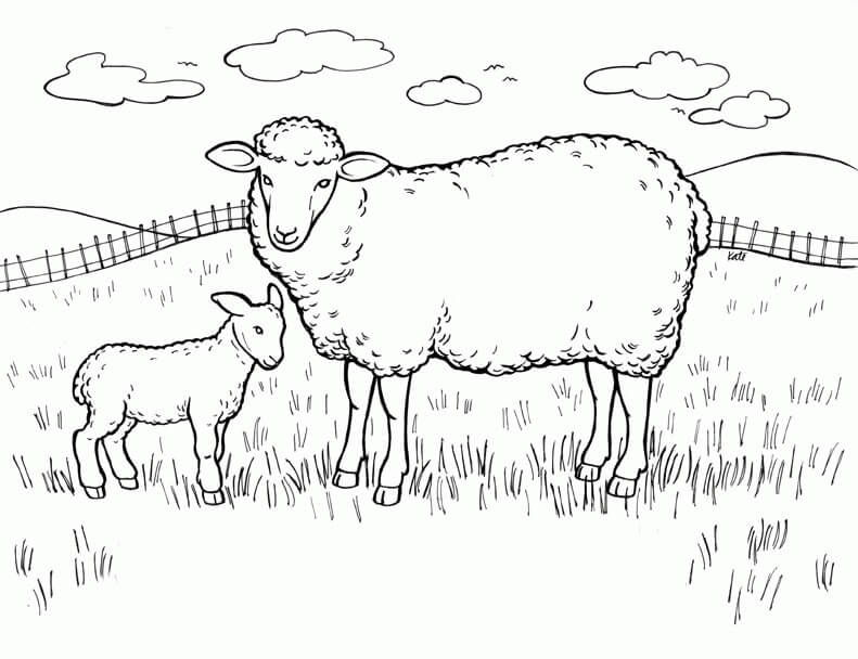 dibujo oveja madre y ovejita para imprimir y colorear