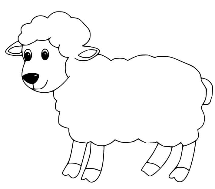dibujo oveja normal para imprimir y colorear