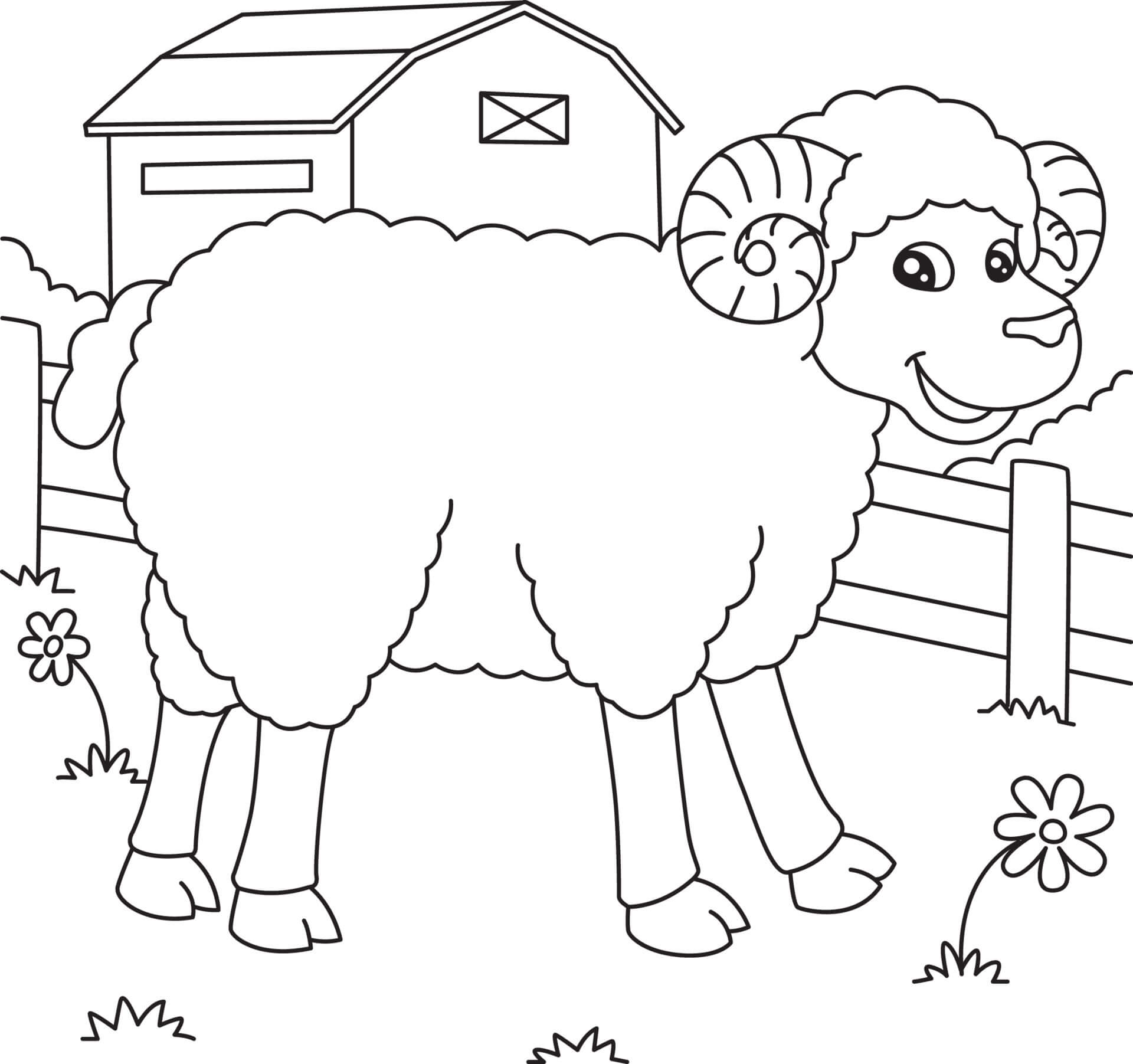 dibujo ovejas de dibujos animados para imprimir y colorear