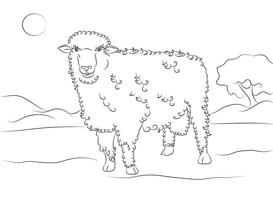 dibujo ovejas imagenes gratis para imprimir y colorear