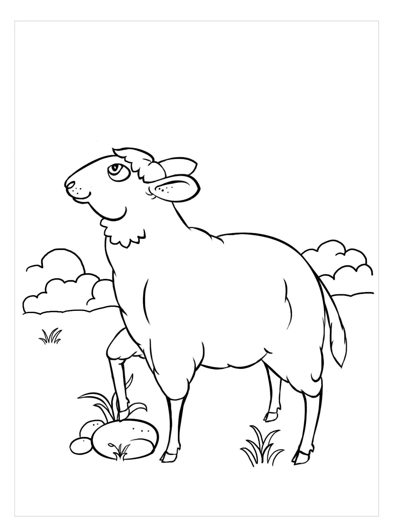 dibujo ovejas libres para imprimir y colorear