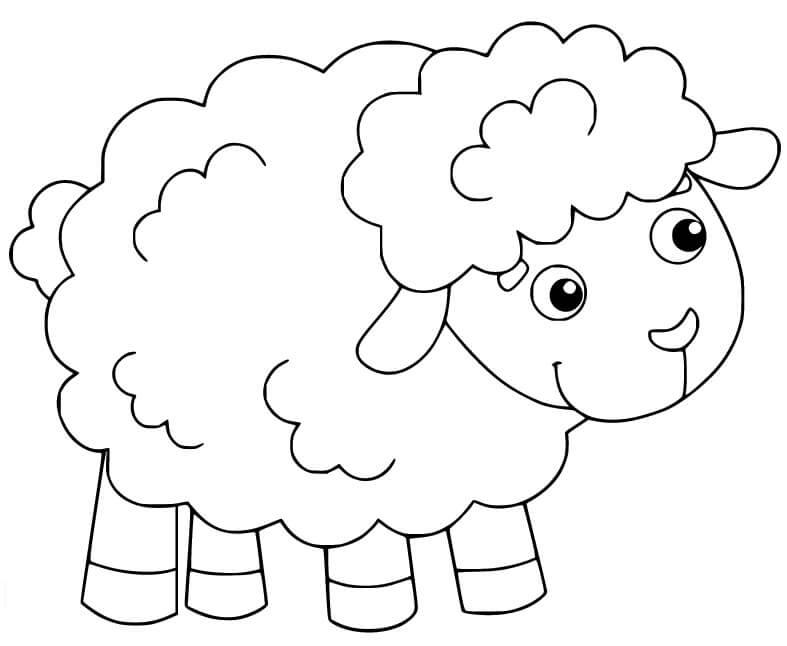 dibujo ovejas peludas lindas para imprimir y colorear