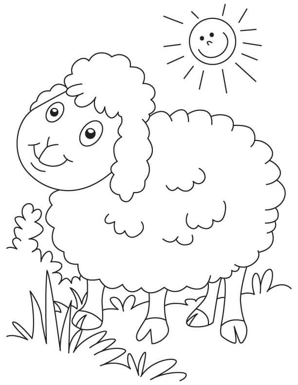 dibujo ovejas tomando el sol para imprimir y colorear
