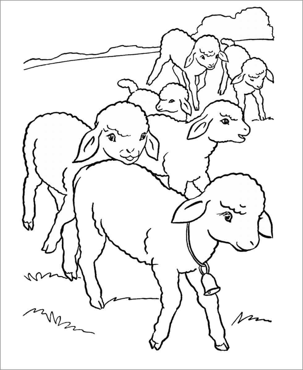 dibujo ovejitas para imprimir y colorear