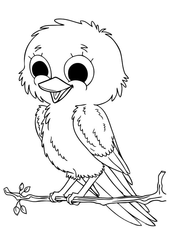 Pájaro Canario para Colorear