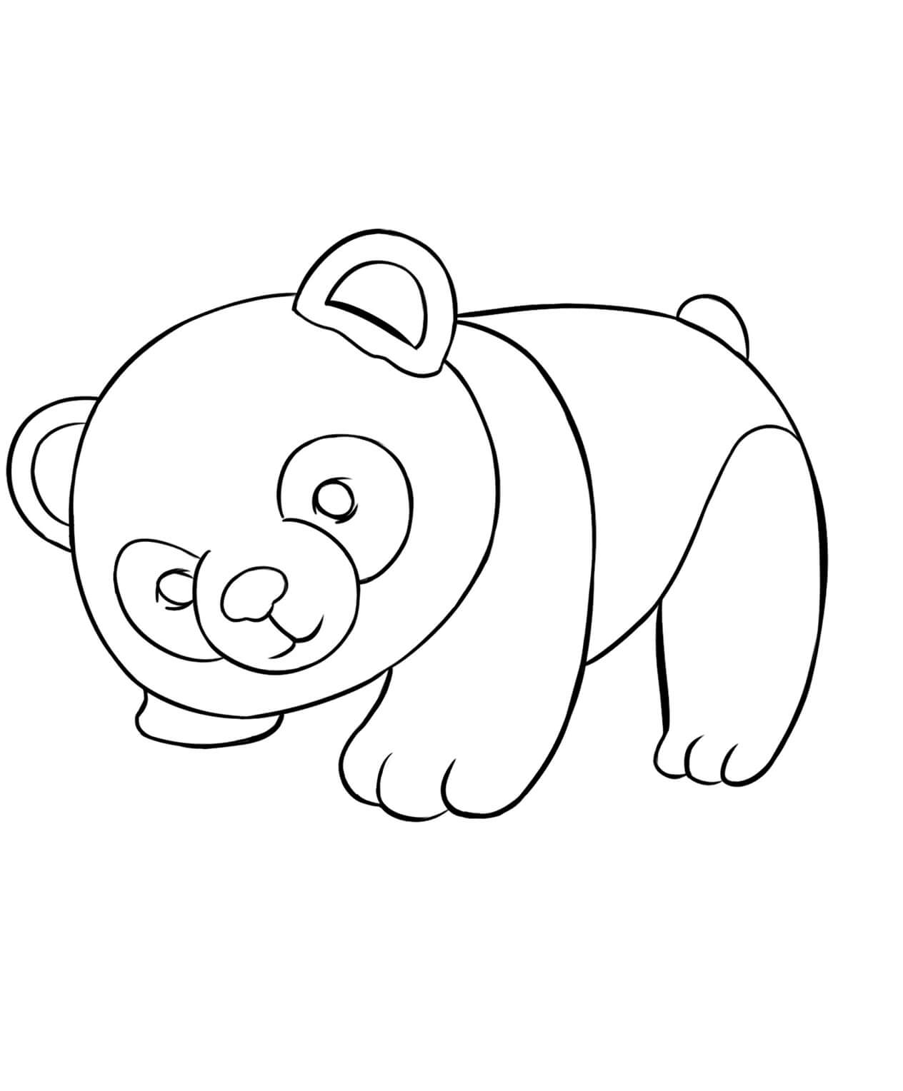 Panda para Colorear