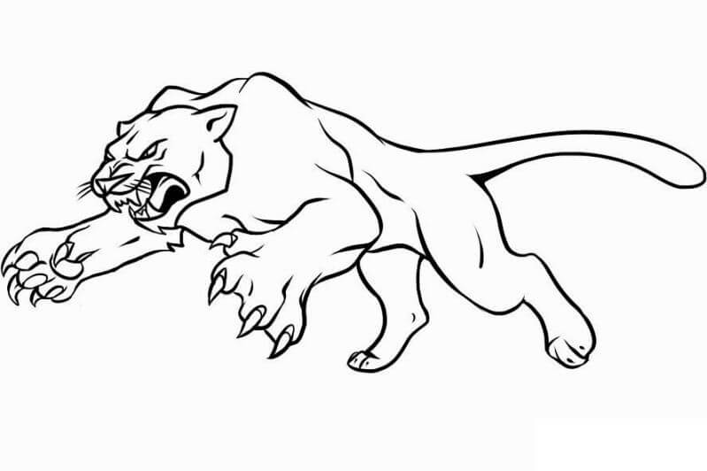 Pantera para Colorear