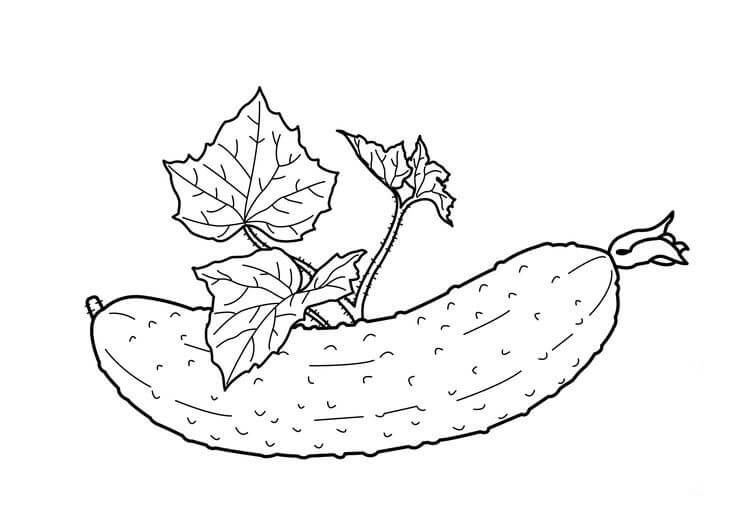 dibujo buen pepino para colorear