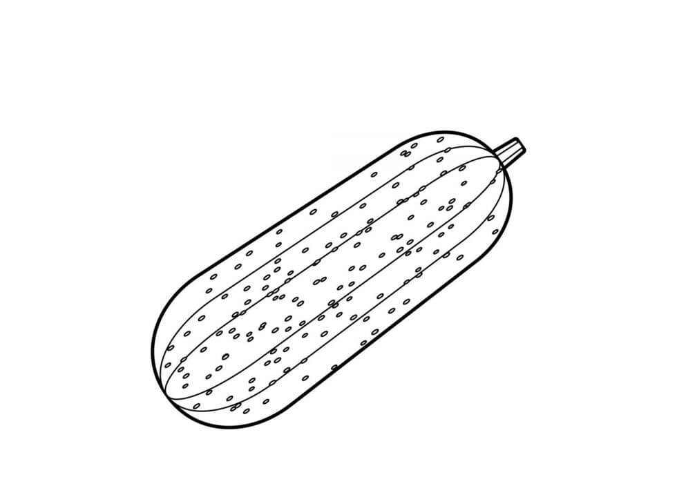 dibujo gran pepino para colorear