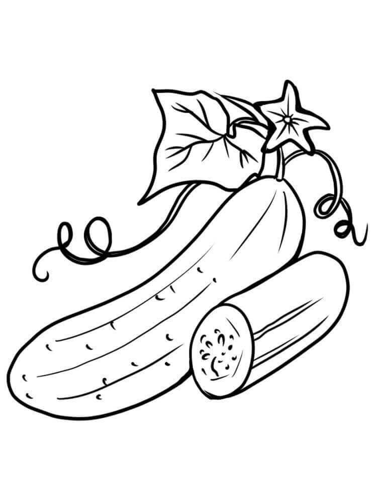 dibujo pepino basico para colorear