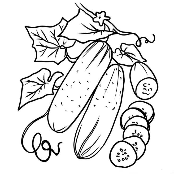 dibujo pepino impresionante para colorear