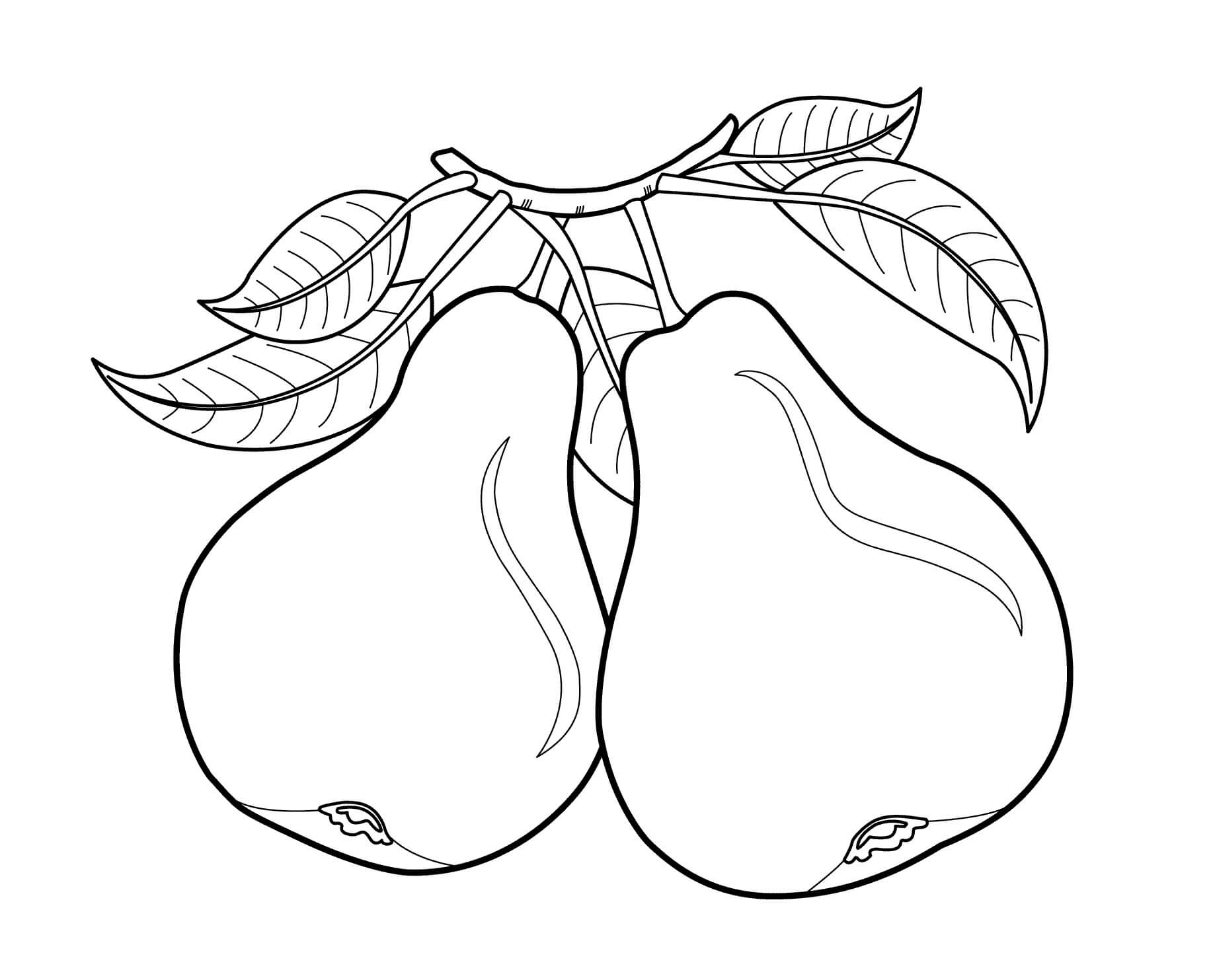 dibujo dos peras para colorear
