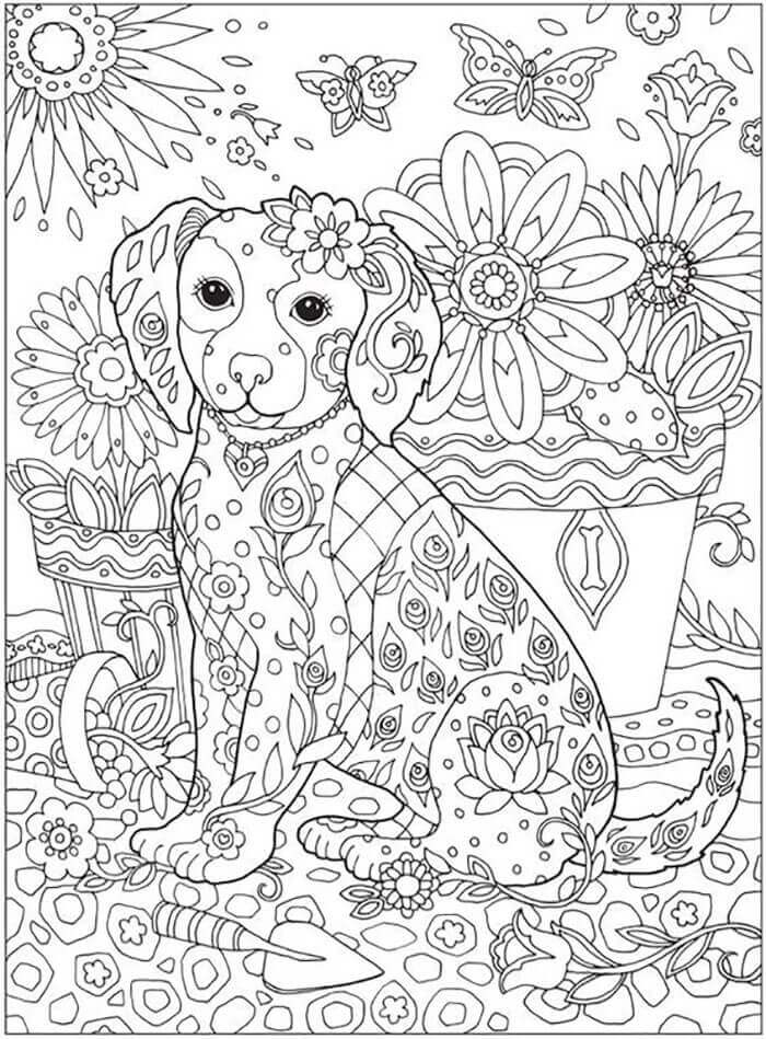 dibujo el perro es para adultos colorear