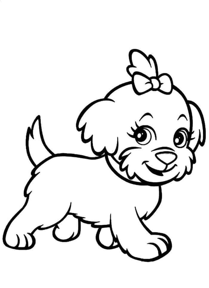 dibujo paseo divertido para perros colorear