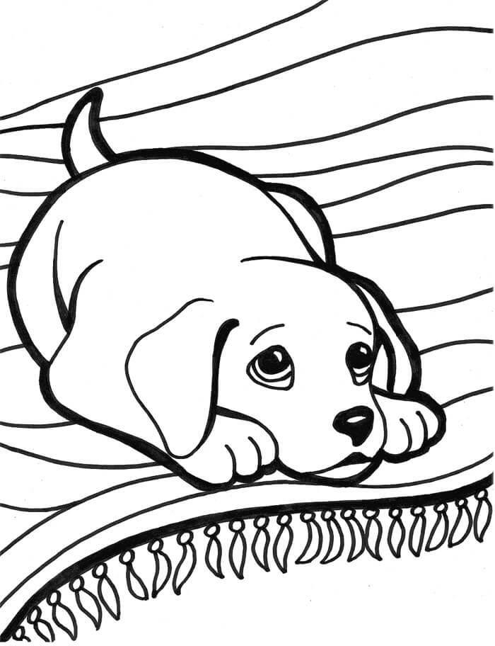 dibujo perro acostado colorear