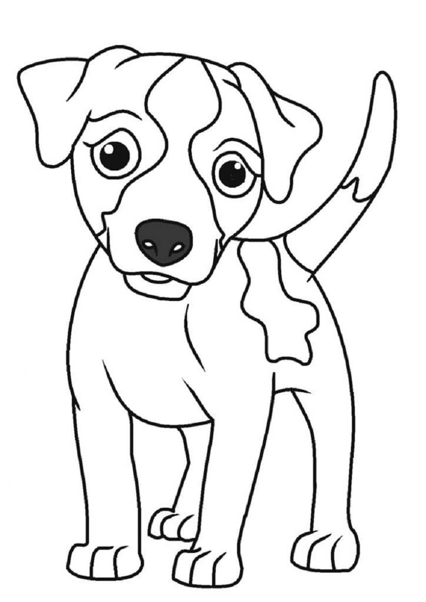 dibujo perro basico colorear