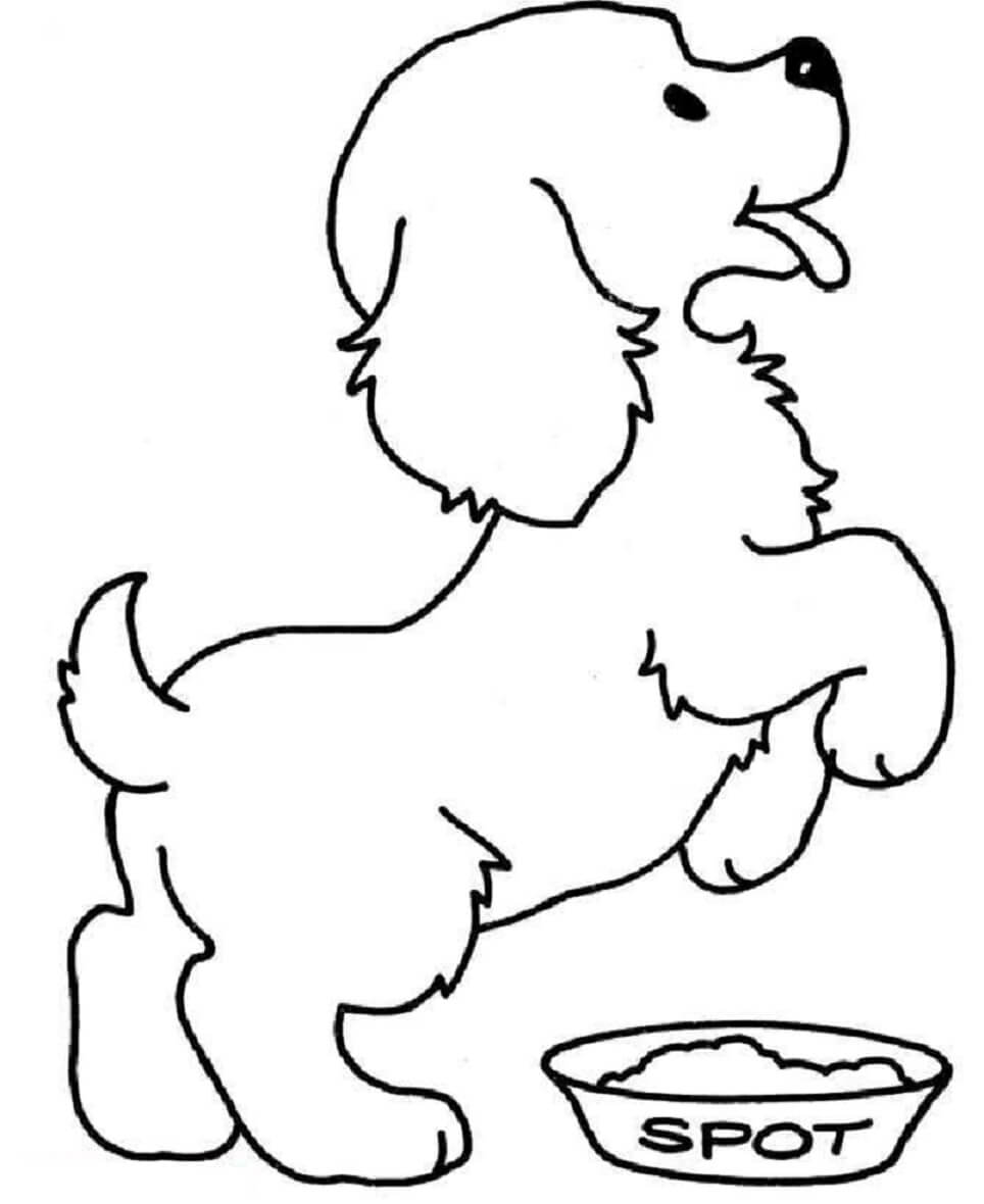 dibujo perro caniche feliz colorear