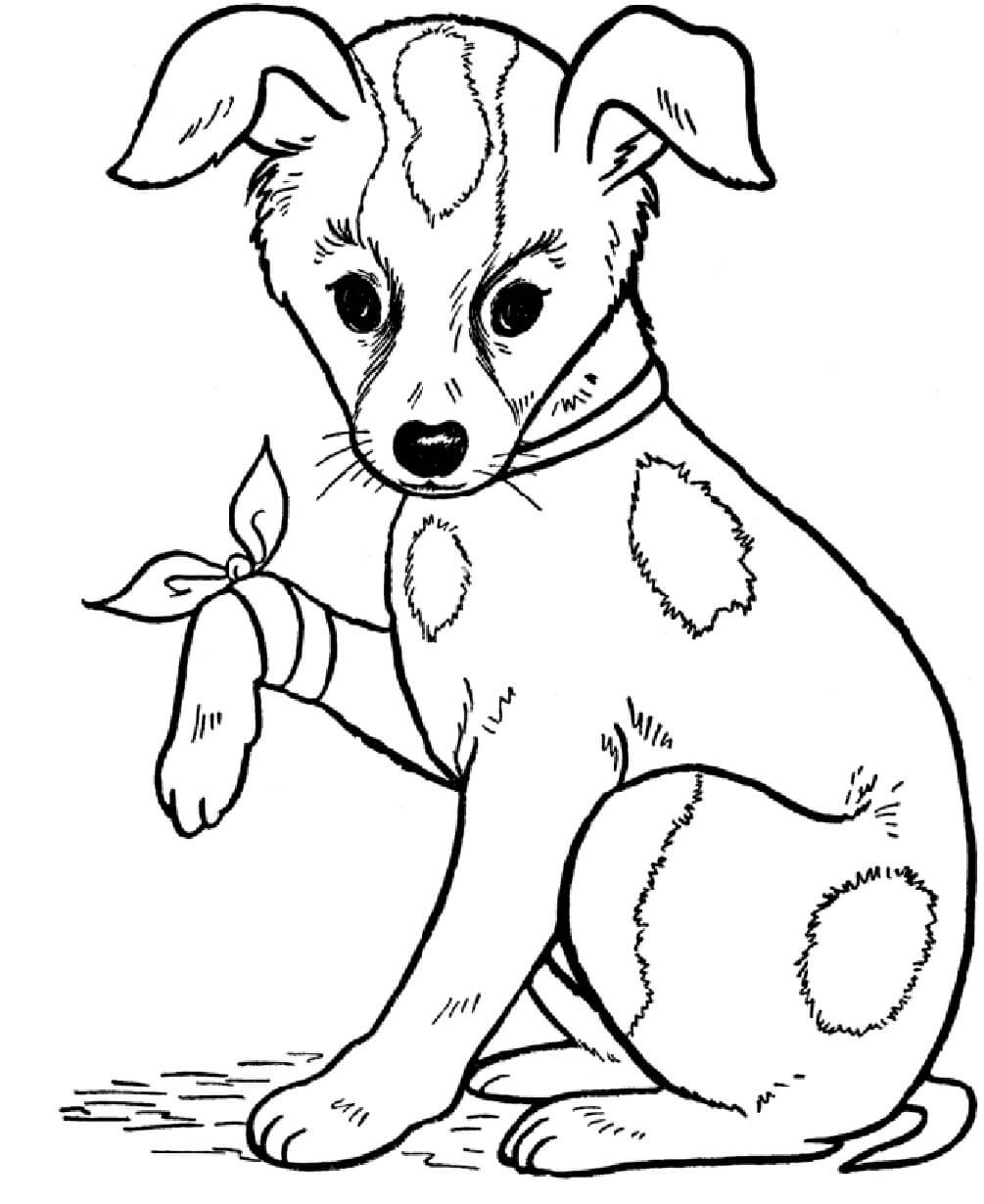 dibujo perro con arco colorear