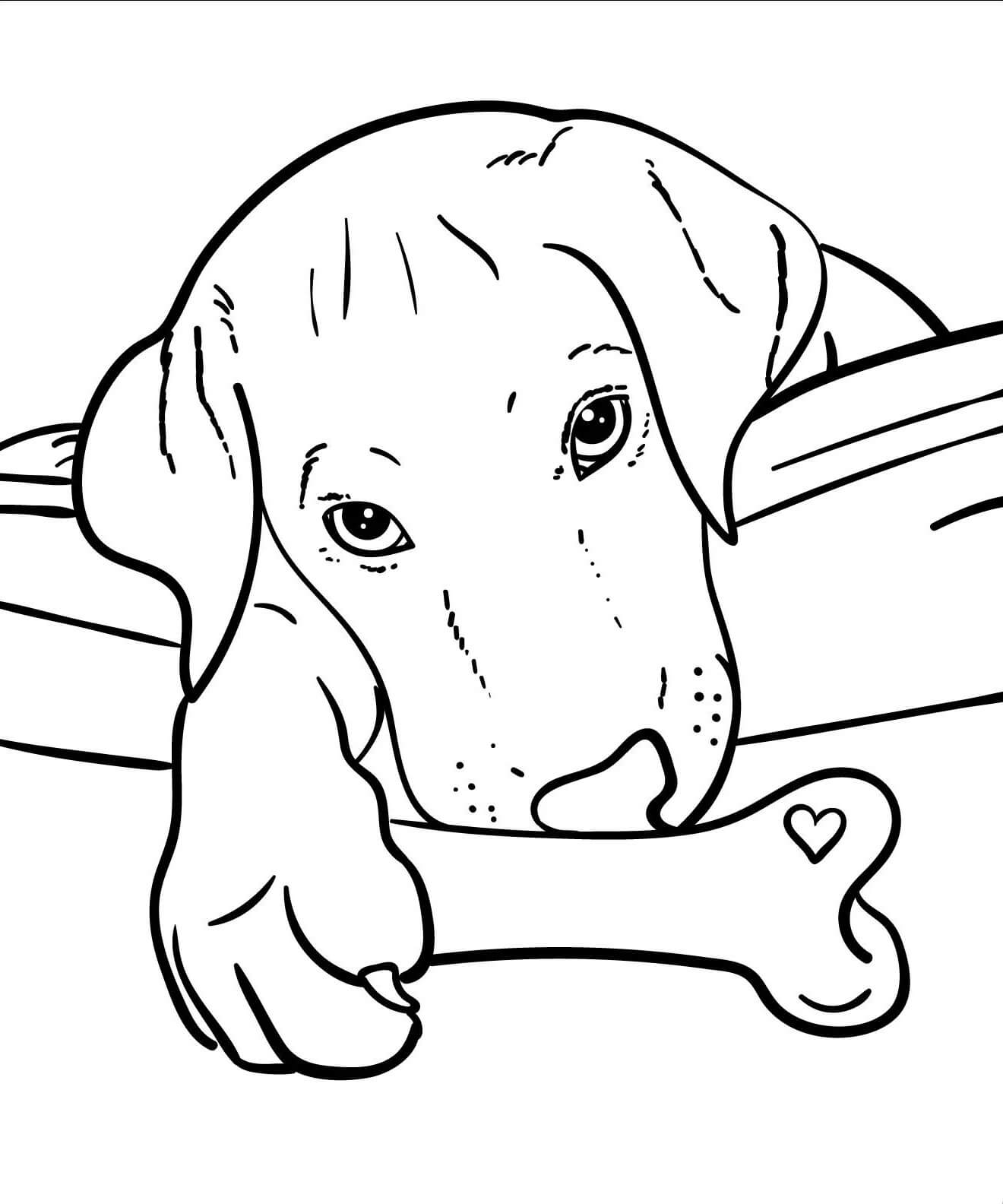dibujo perro con hueso colorear