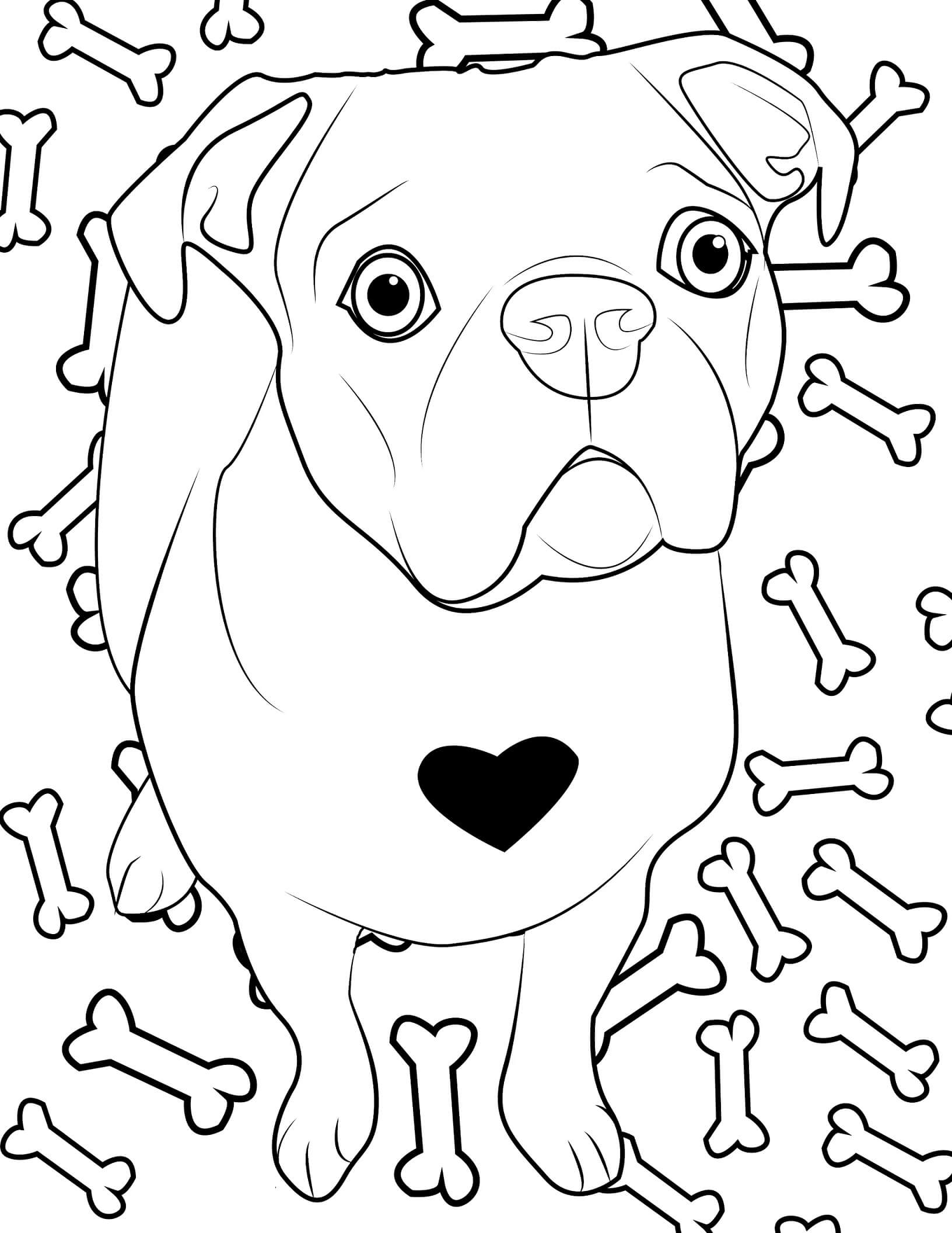 dibujo perro con huesos colorear